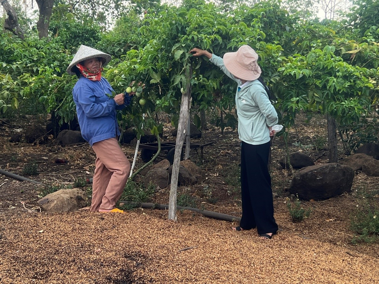 Hội Nông dân xã Ea Mnang thực hiện tốt công tác nhận ủy thác vốn vay tín dụng chính sách