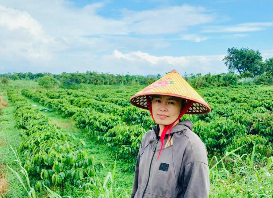 HỘI VIÊN PHỤ NỮ TIẾP CẬN NGUỒN VỐN CHÍNH SÁCH – VƯƠN LÊN PHÁT TRIỂN KINH TẾ GIA ĐÌNH