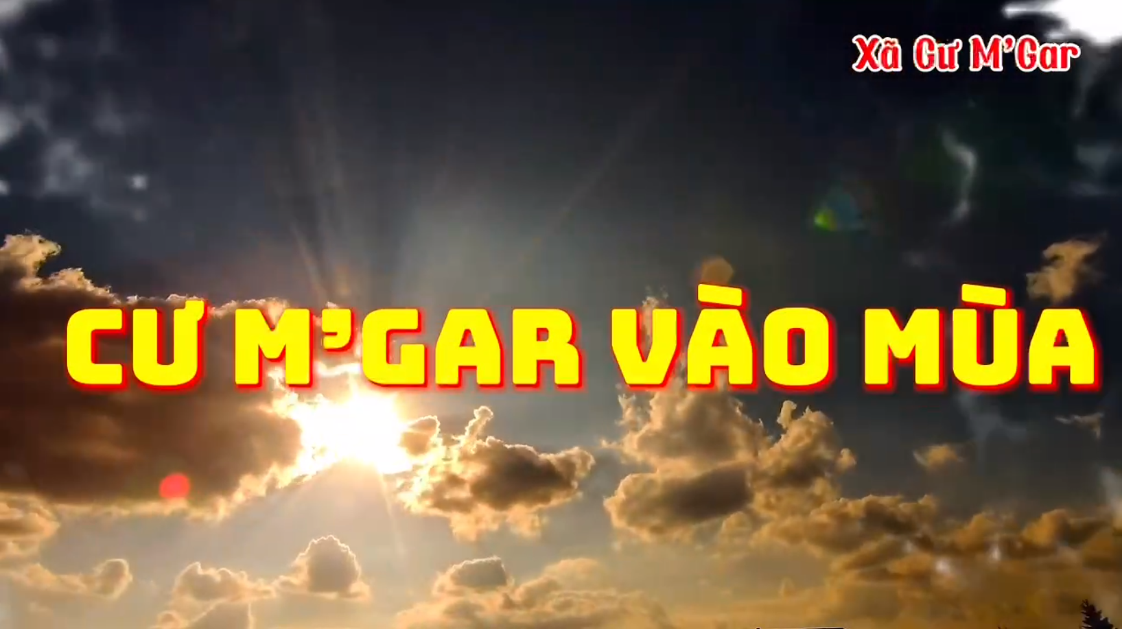 Cư M'gar vào mùa sầu riêng