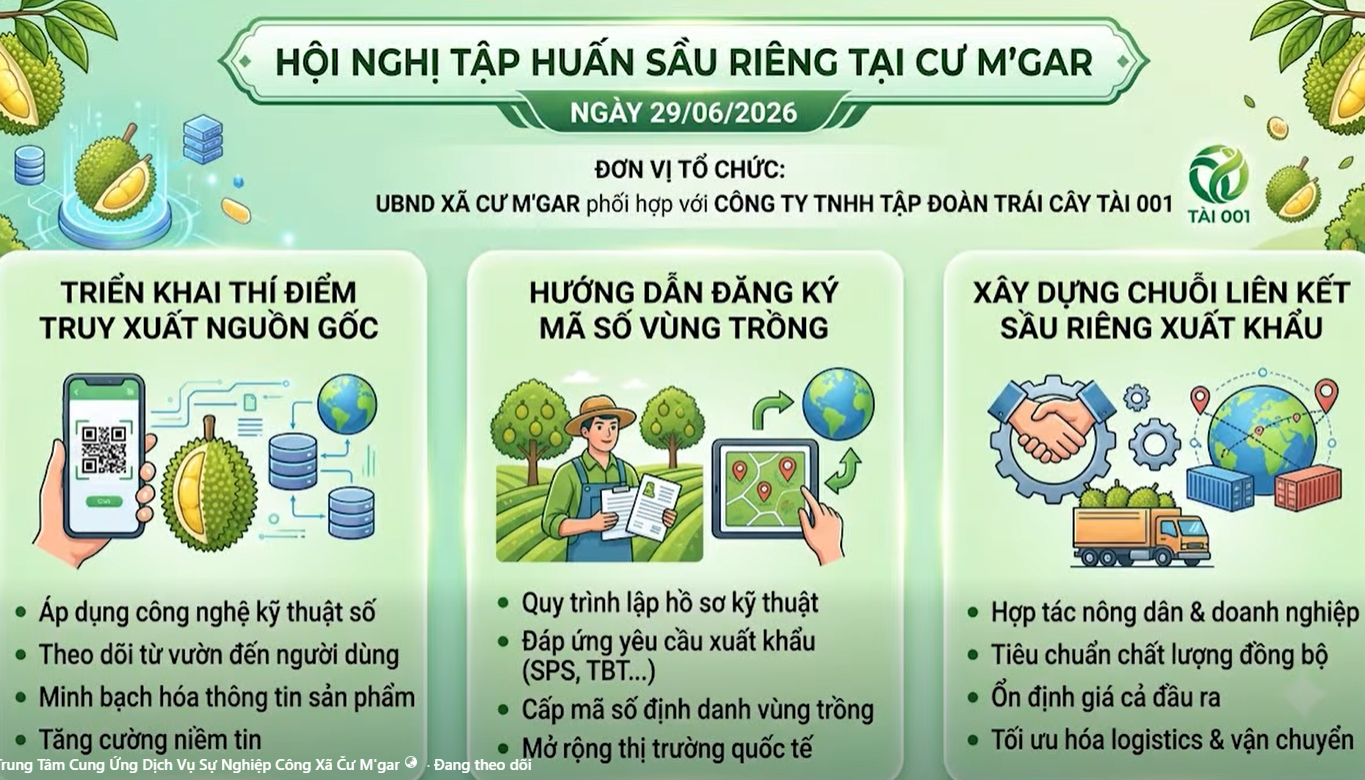 Tập huấn triển khai thí điểm truy xuất nguồn gốc sầu riêng, hướng dẫn đăng ký mã số vùng trồng và xây dựng chuỗi liên kết sầu riêng ở xã Cư M'gar.