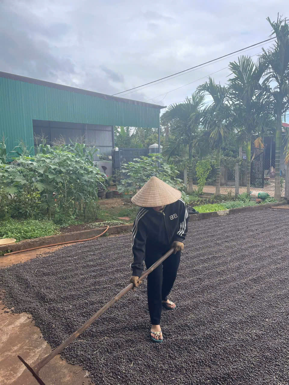 z7353134871891_a886b1c58baf15d0d6dae91bdfad42fb