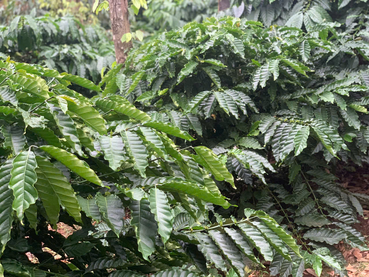 z7353256201460_e061c0bc6e1911e21128b996c2ca058b